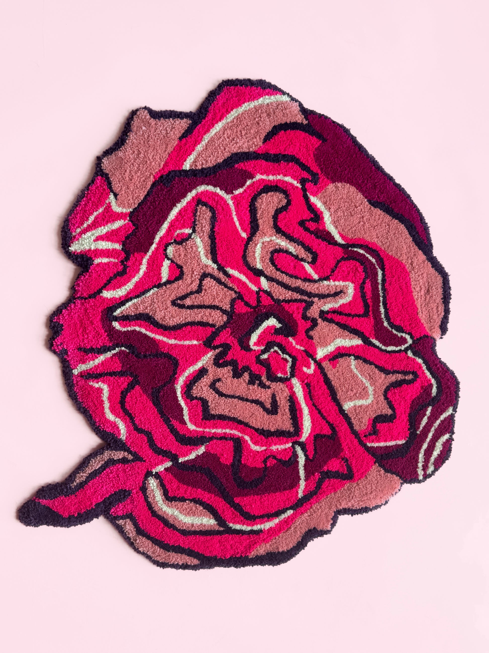 Pink carnation