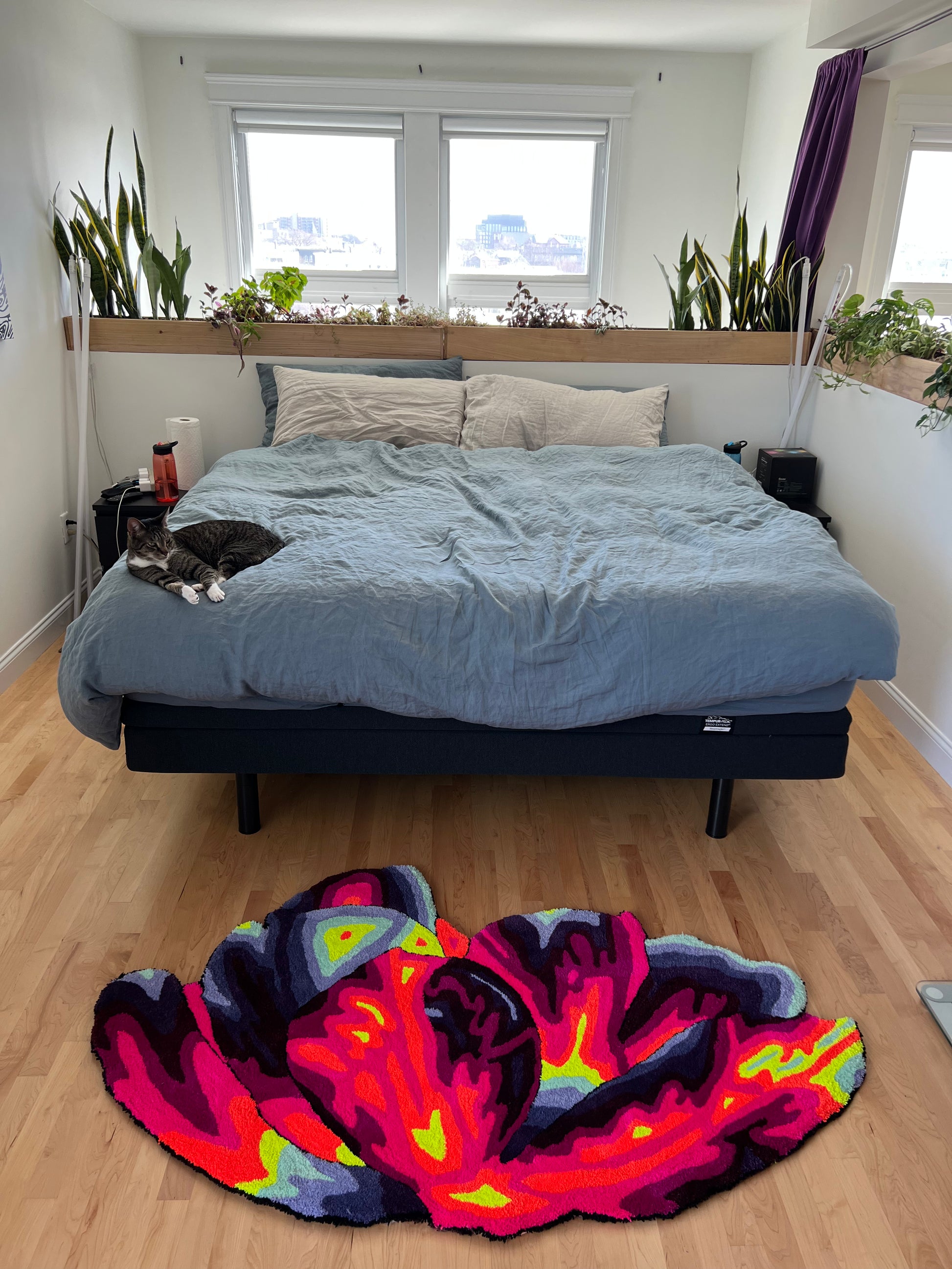 Colorful round rug on a wooden floor in a bedroom with a bed and windows.