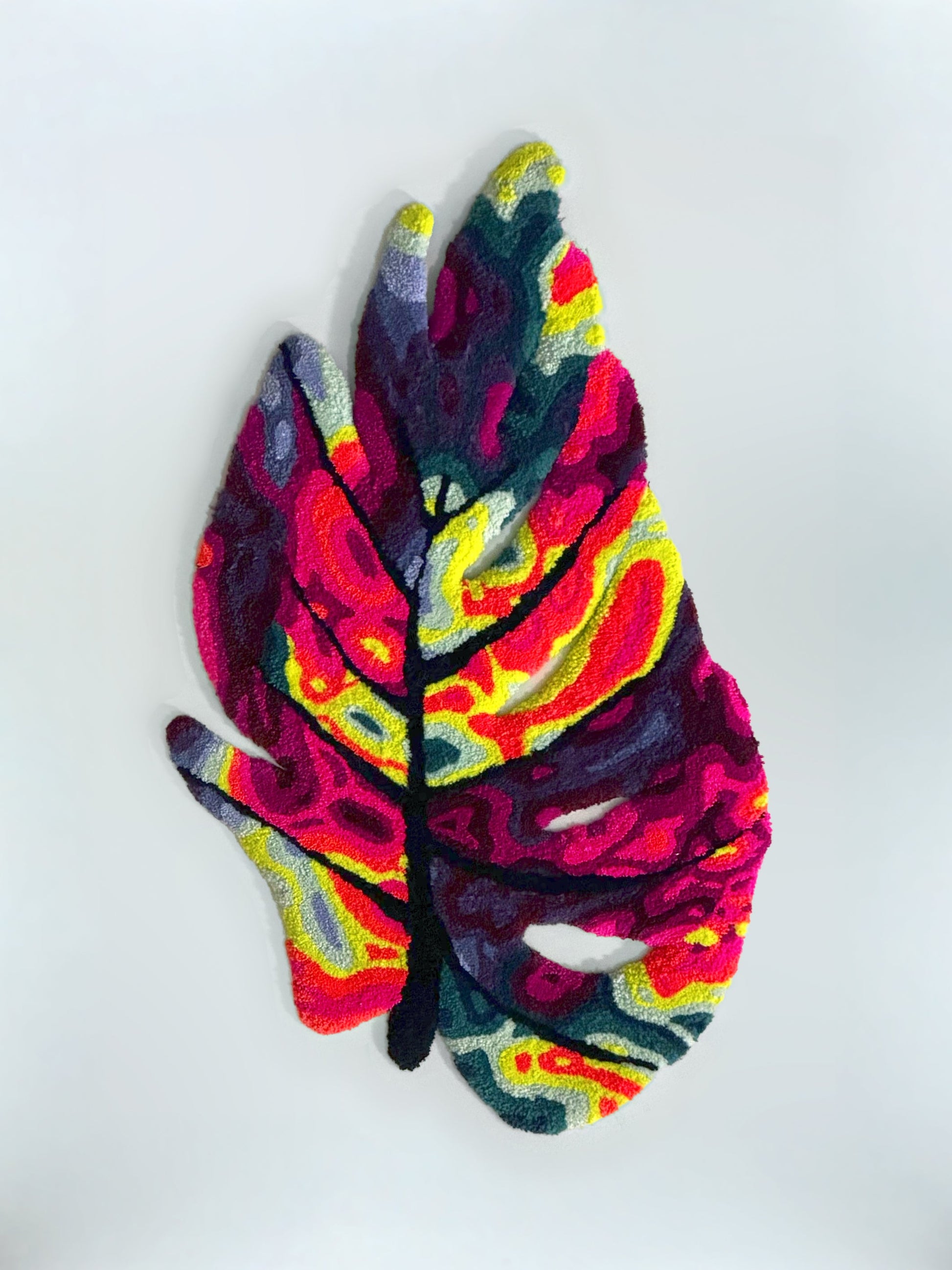 Monstera (Medium)
